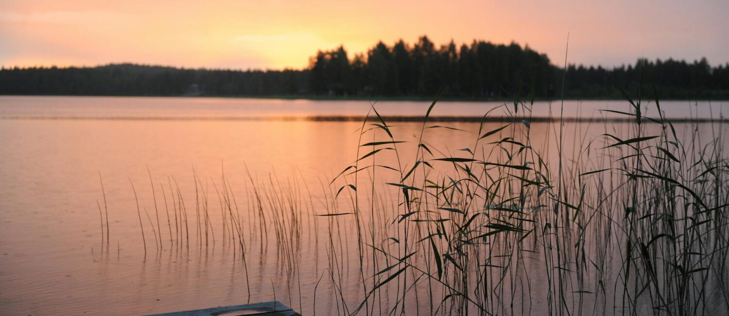 Eine Seenlandschaft in rötlicher Abenddämmerung, am Uferrand bewachsen mit Schilf indem ein Holzsteg ins Wasser führt.