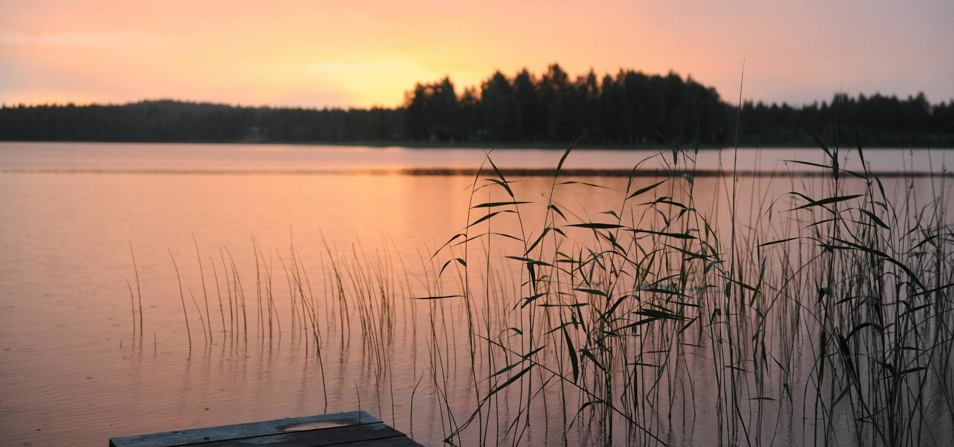 Eine Seenlandschaft in rötlicher Abenddämmerung, am Uferrand bewachsen mit Schilf indem ein Holzsteg ins Wasser führt.