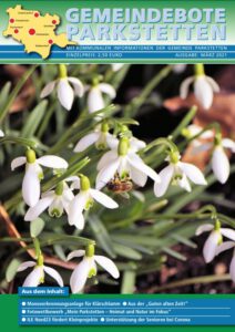 Schneeglöckchen und eine Biene die Blütenstaub sammelt