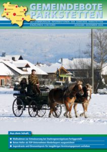 Pferdekutsche im Schnee